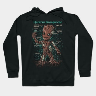 Baby Groot Hoodie